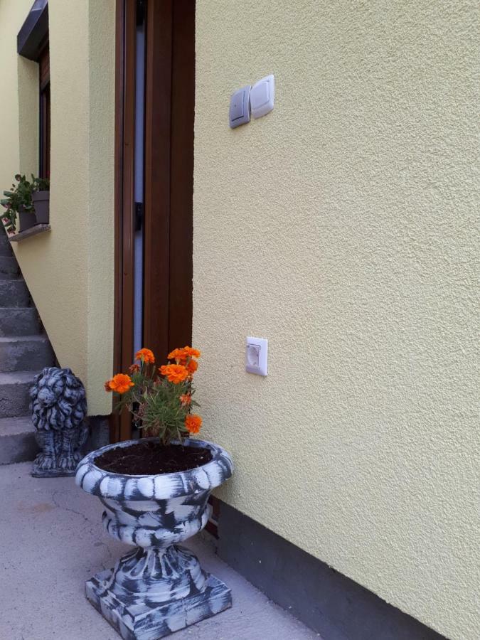 Apartment Dujica Senj  Exterior foto